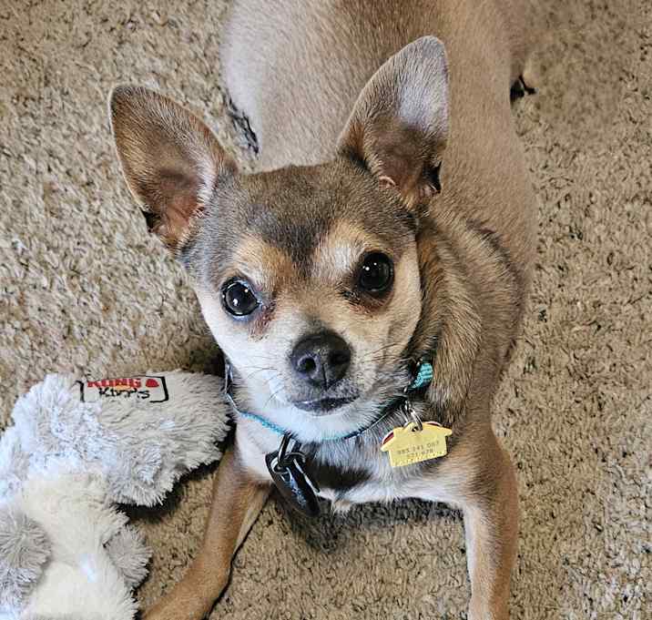 Photo of Max