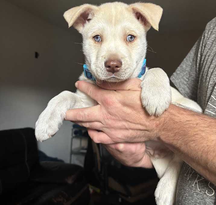 Photo of Bane