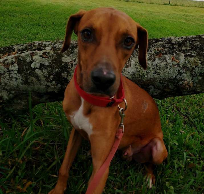 Photo of Hex