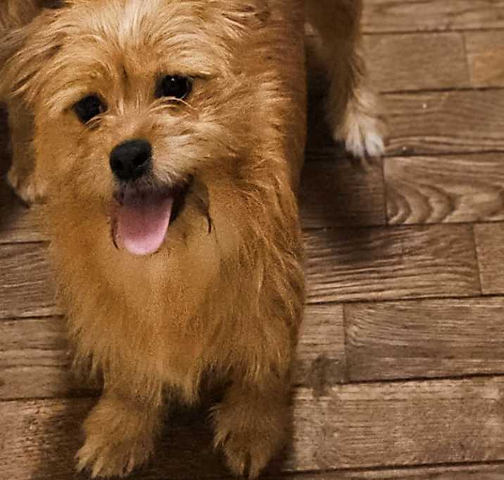 Photo of Kira