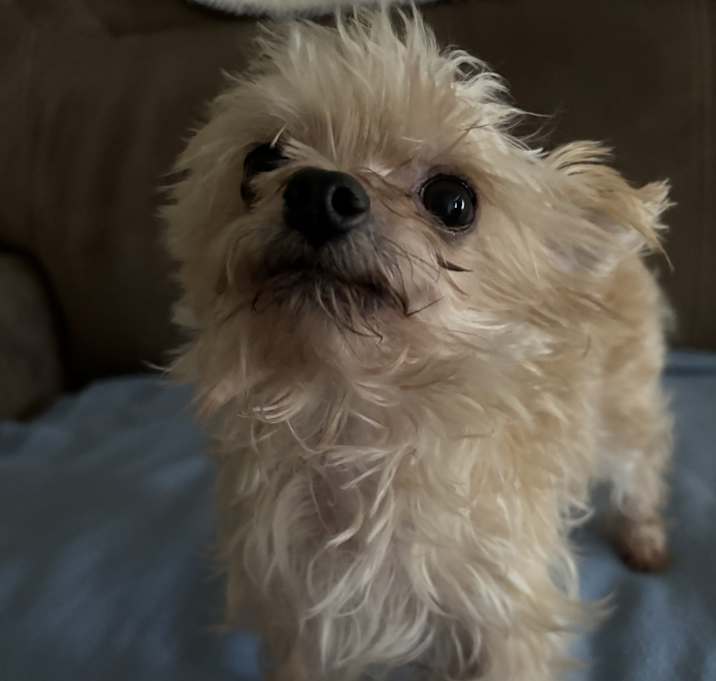 Photo of Leo