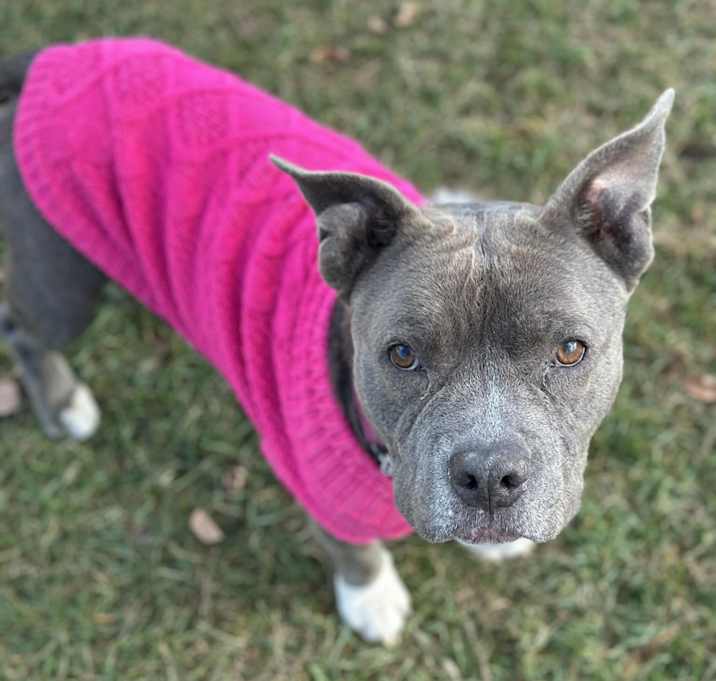 Photo of Peppa