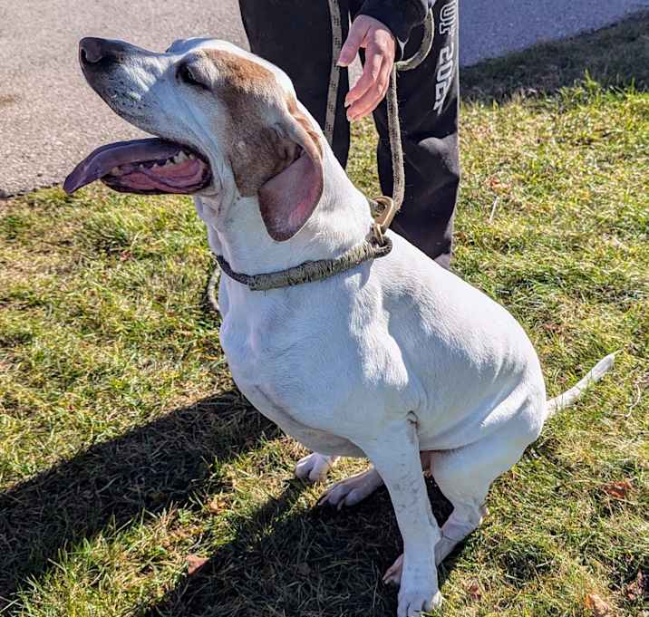 Photo of Duke