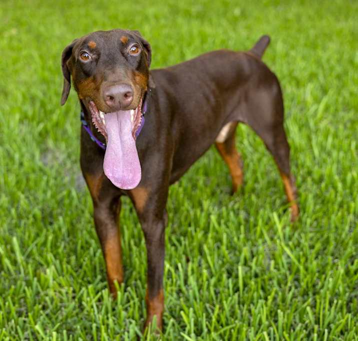 Photo of Carter