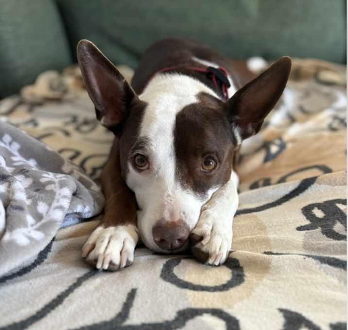 Photo of Sophie