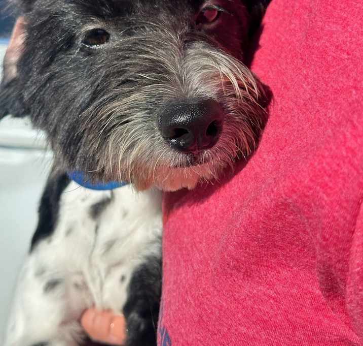 Photo of Bentley
