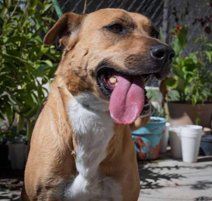 Photo of COCO