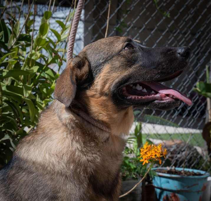 Photo of CHURRO