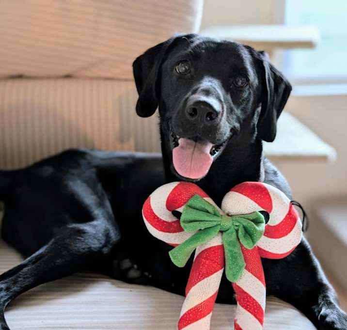 Photo of Ruby Steeler