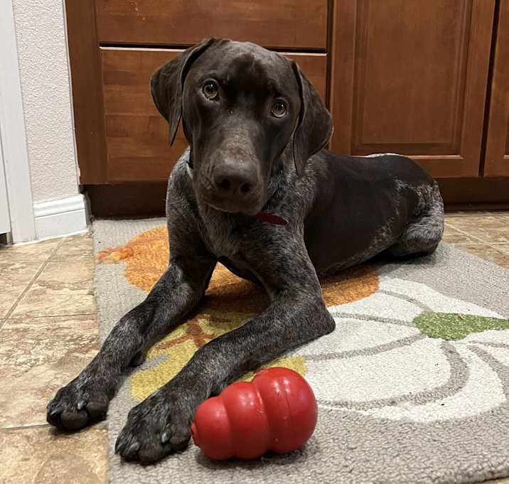 Photo of Maverick