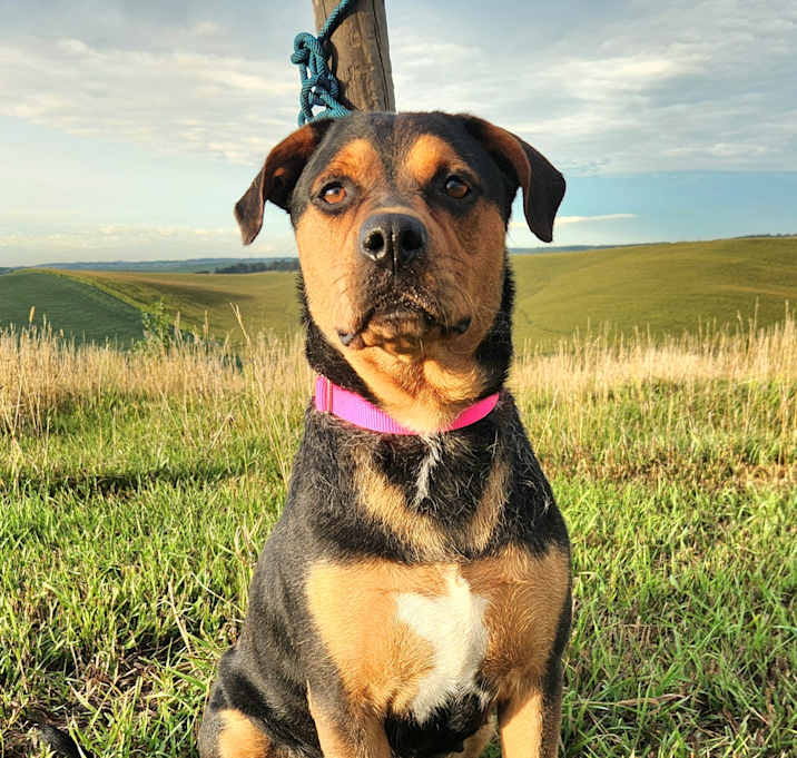Photo of Betty