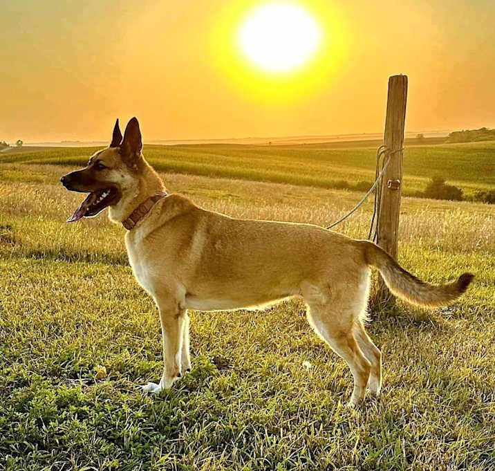 Photo of Xena