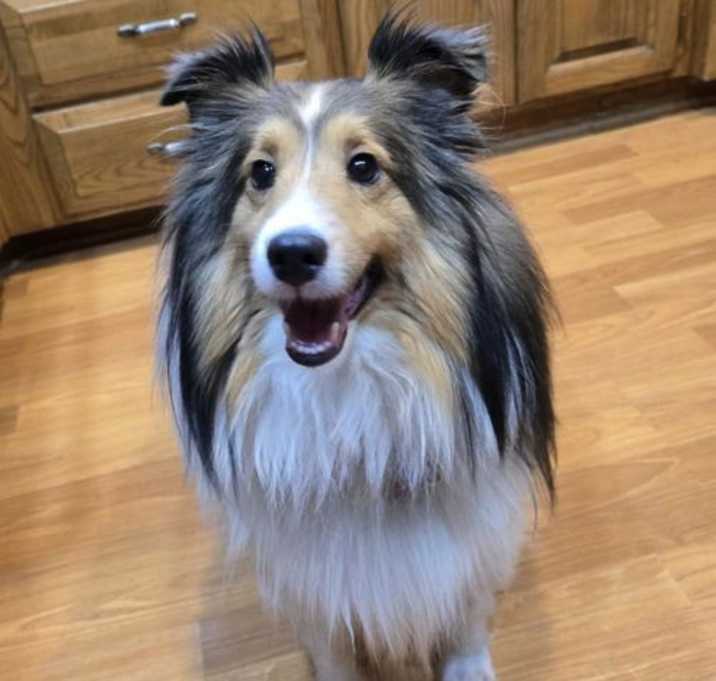 Photo of Waylon