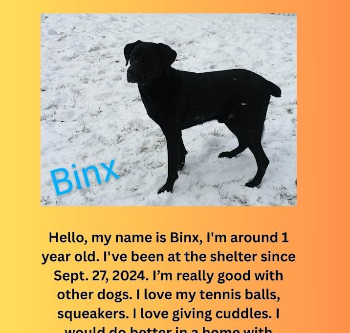 Photo of Binx