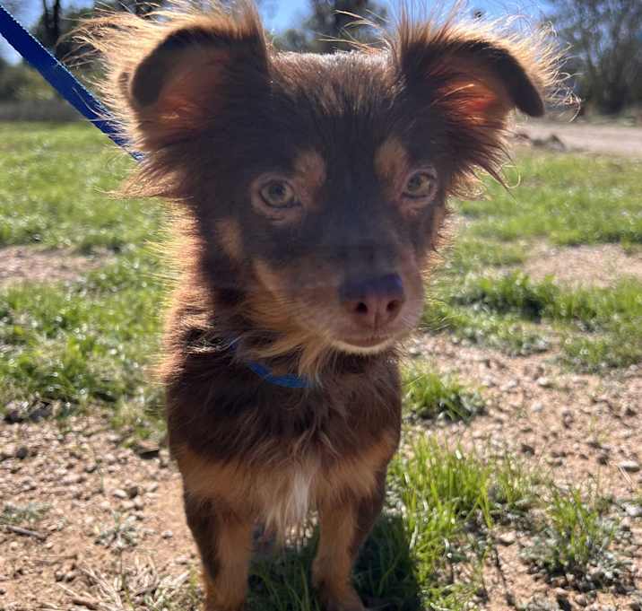 Photo of Cinnamon