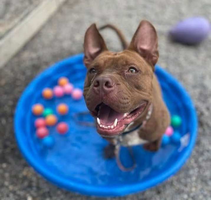 Photo of Bourbon