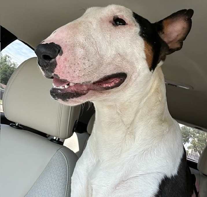 Photo of Charlie in Oklahoma