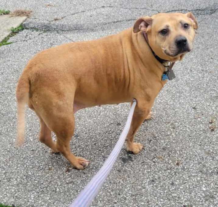 Photo of Holly