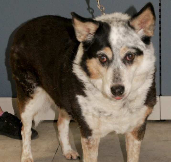 Photo of Kymba