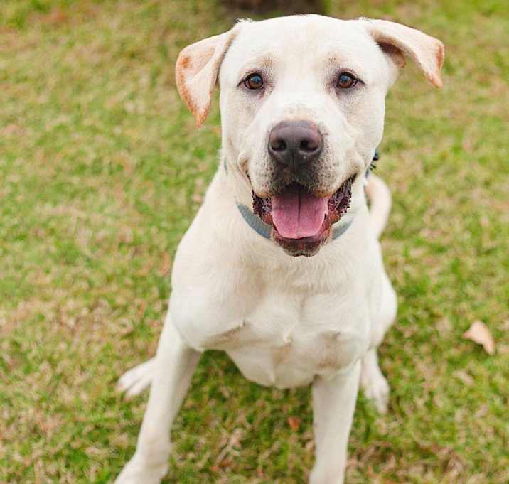 Photo of Tank