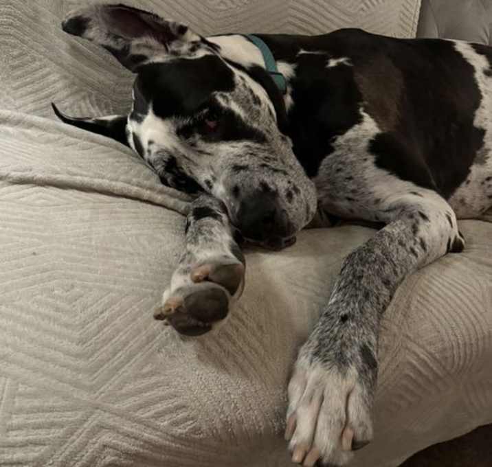 Photo of Kevin