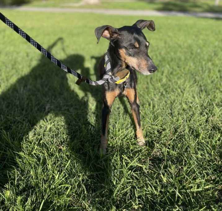 Photo of Conner