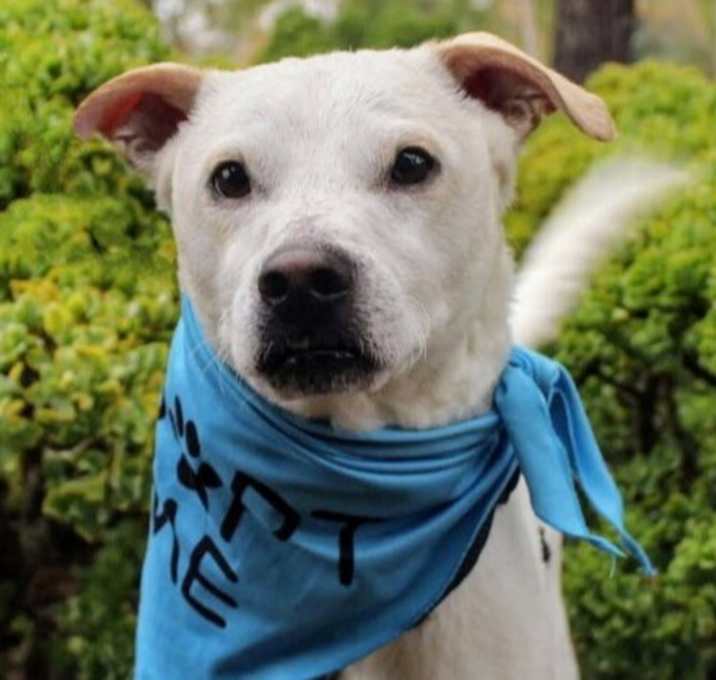 Photo of PJ  (aka Delano)