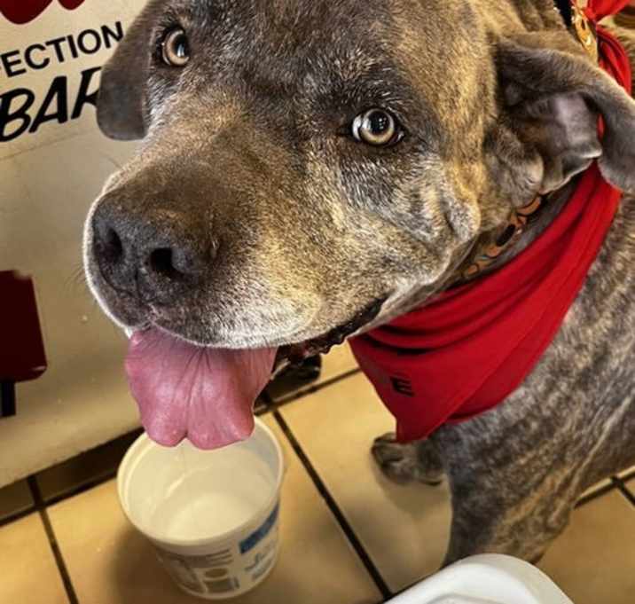 Photo of Pancho