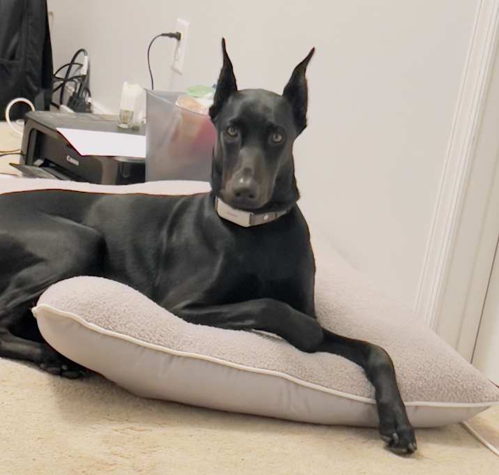 Photo of Muna