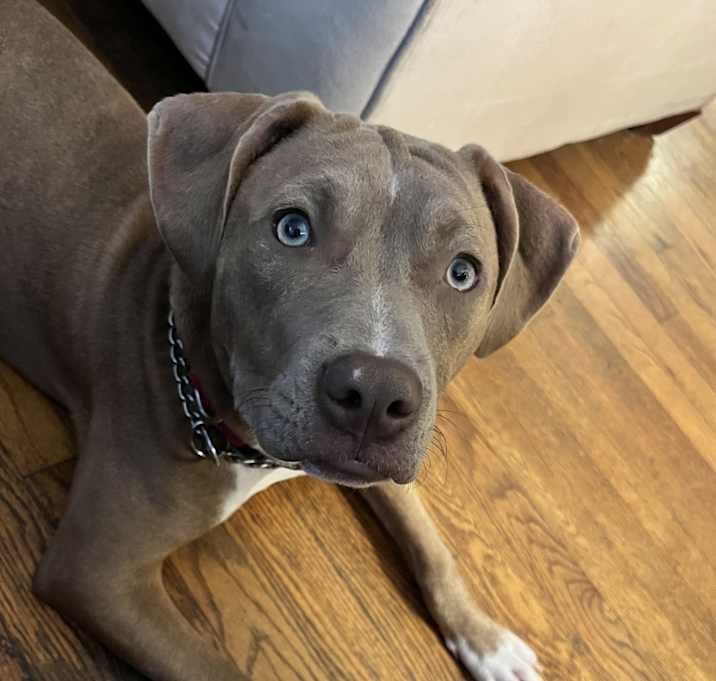 Photo of Mocha