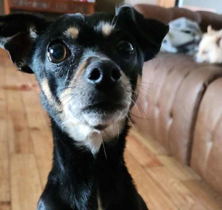 Photo of Pretty Girl