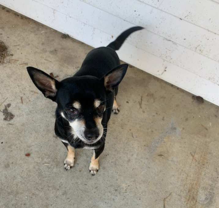 Photo of Walter
