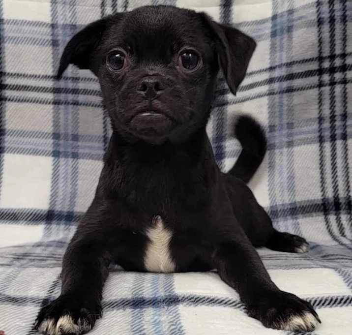 Photo of Monty