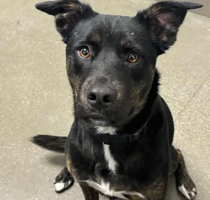 Photo of Calypso