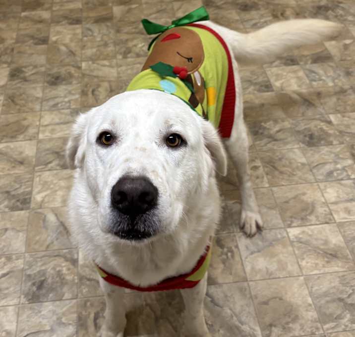 Photo of Storm