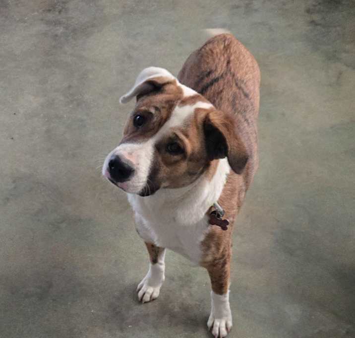 Photo of Sally