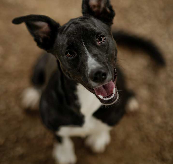 Photo of Feila