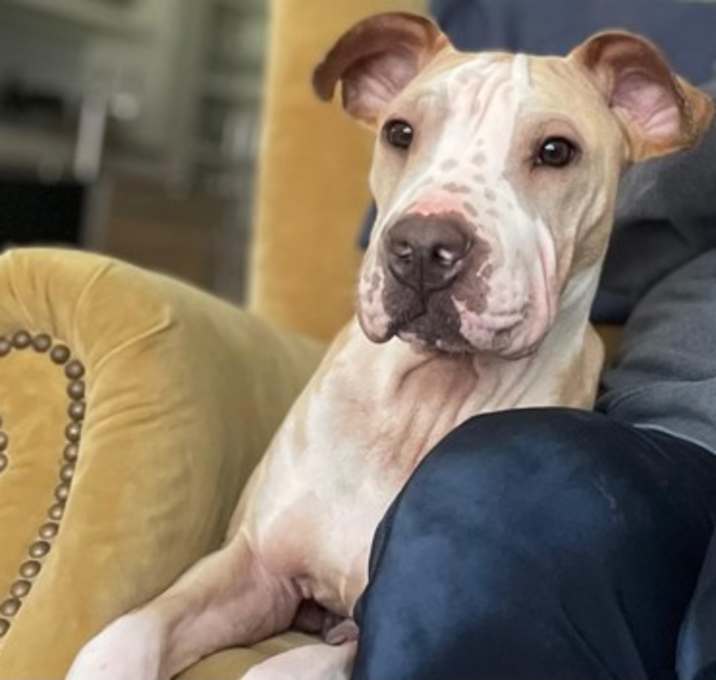 Photo of Rudie
