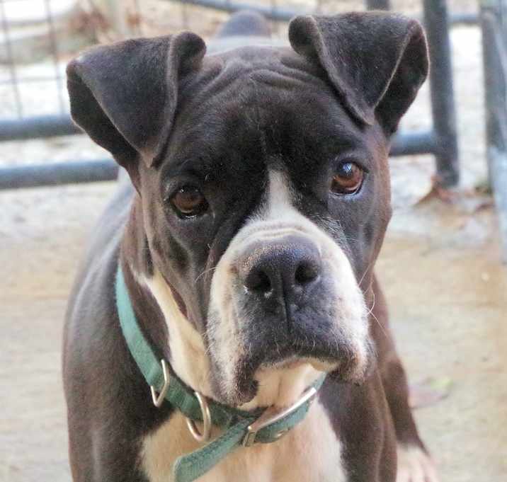Photo of STAR