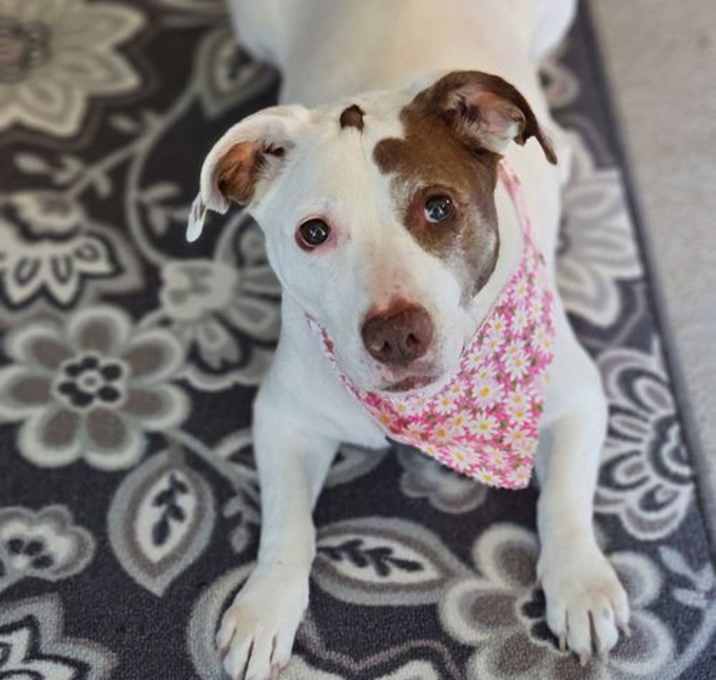 Photo of Rosalee
