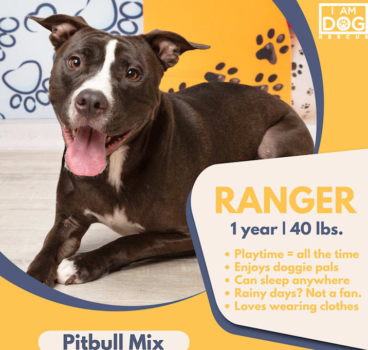 Photo of Ranger