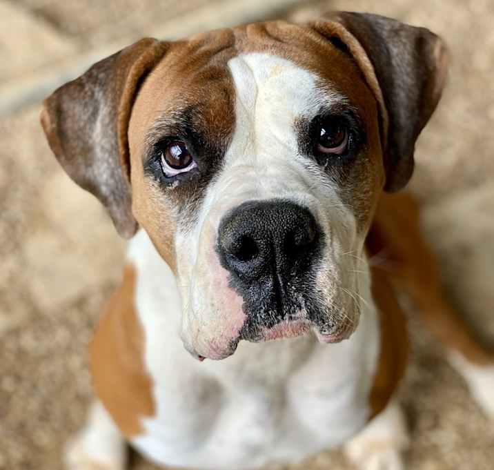 Photo of Doris
