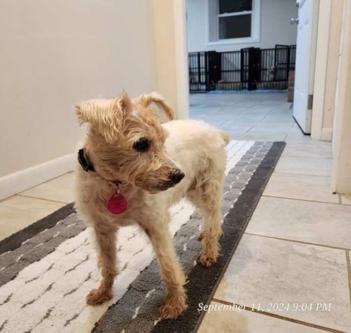 Photo of Bella
