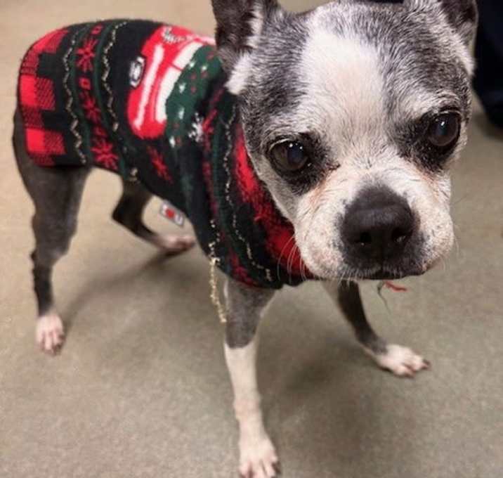 Photo of Mabel