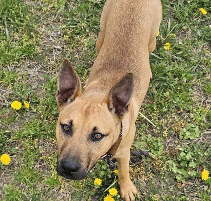 Photo of Mocha