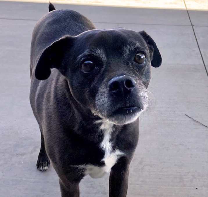 Photo of PACO