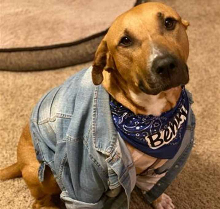 Photo of BENNY