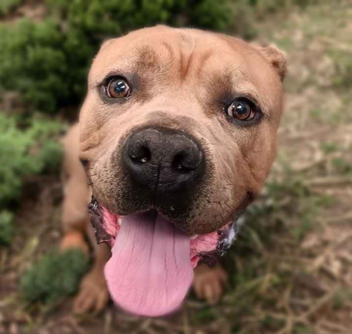 Photo of TANK