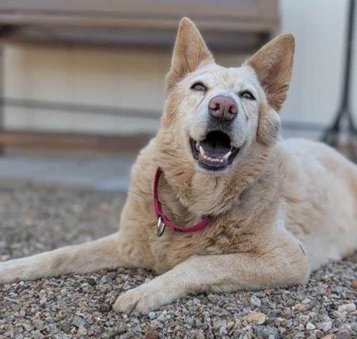 Photo of JASMINE