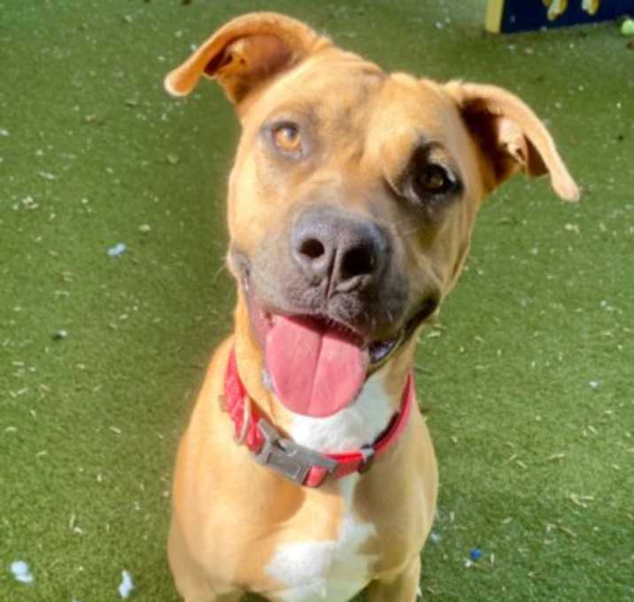 Photo of *LENNOX